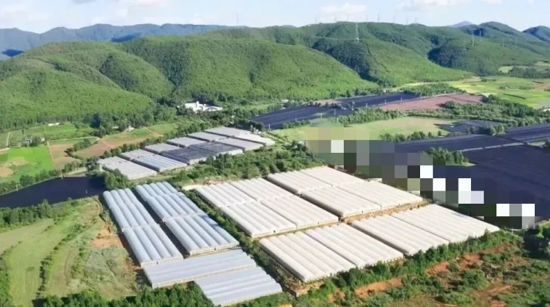 Smart Pharmaceutical Warehouse Smart Pharmaceutical Warehouse